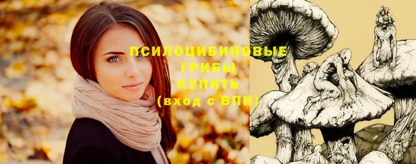 ГАЛЛЮЦИНОГЕННЫЕ ГРИБЫ Володарск