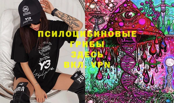 ГАЛЛЮЦИНОГЕННЫЕ ГРИБЫ Володарск