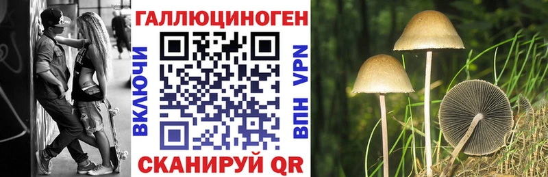Псилоцибиновые грибы мухоморы  продажа наркотиков  Любим 